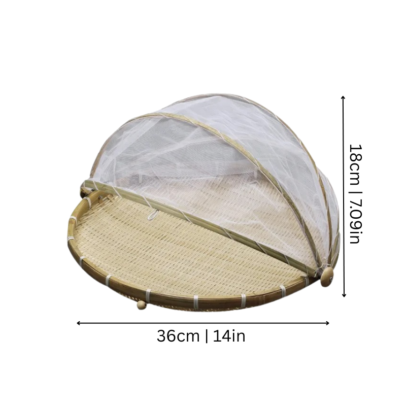 DomeTray