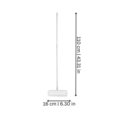 Lintly