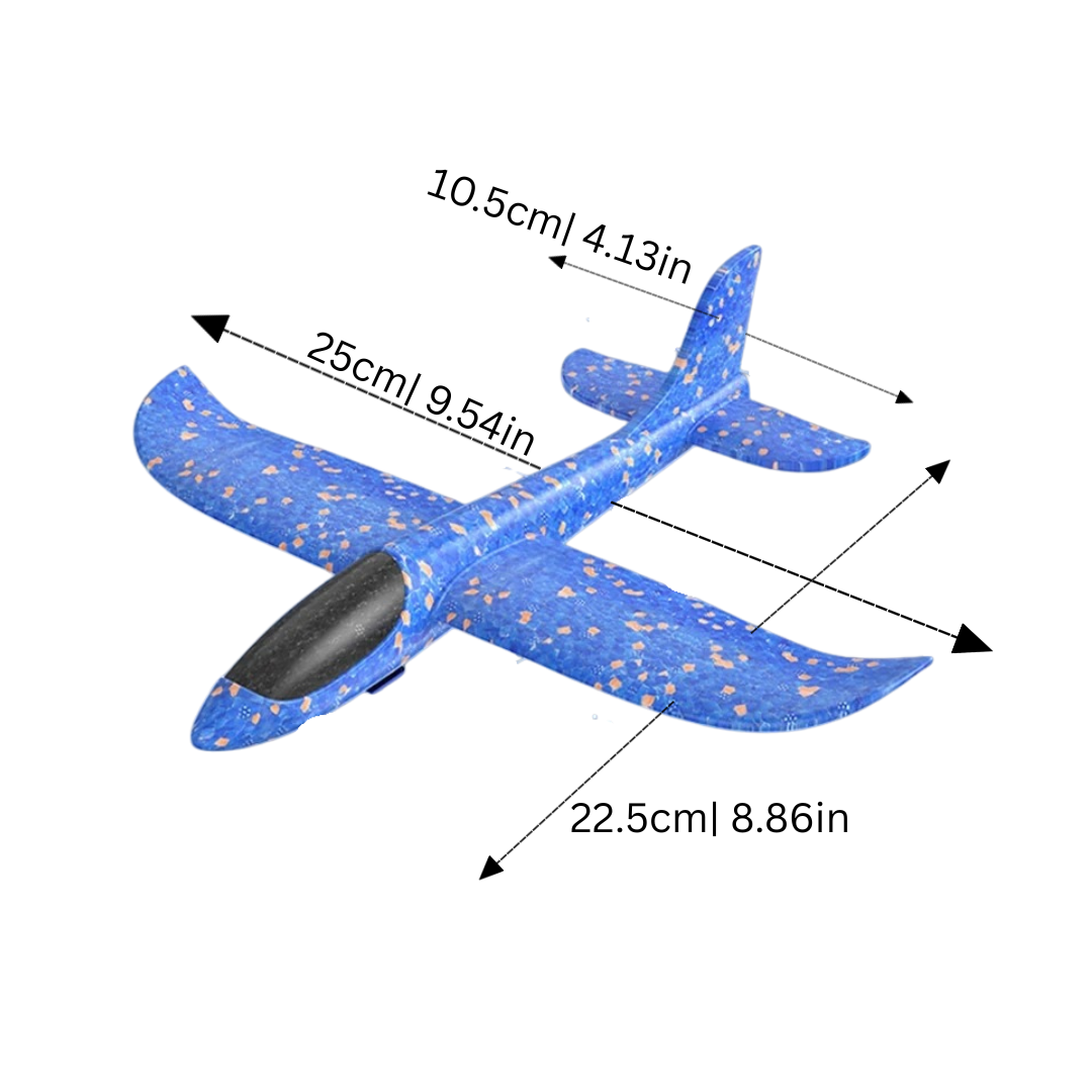 Flyzoa
