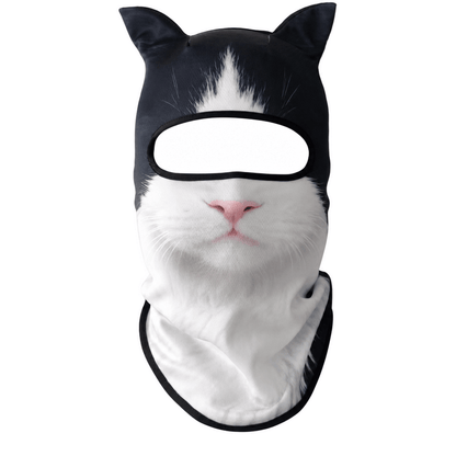 CoolWhiskers