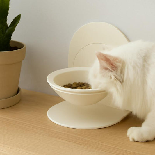 Feedora
