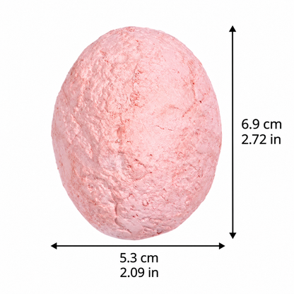 Eggsplorer