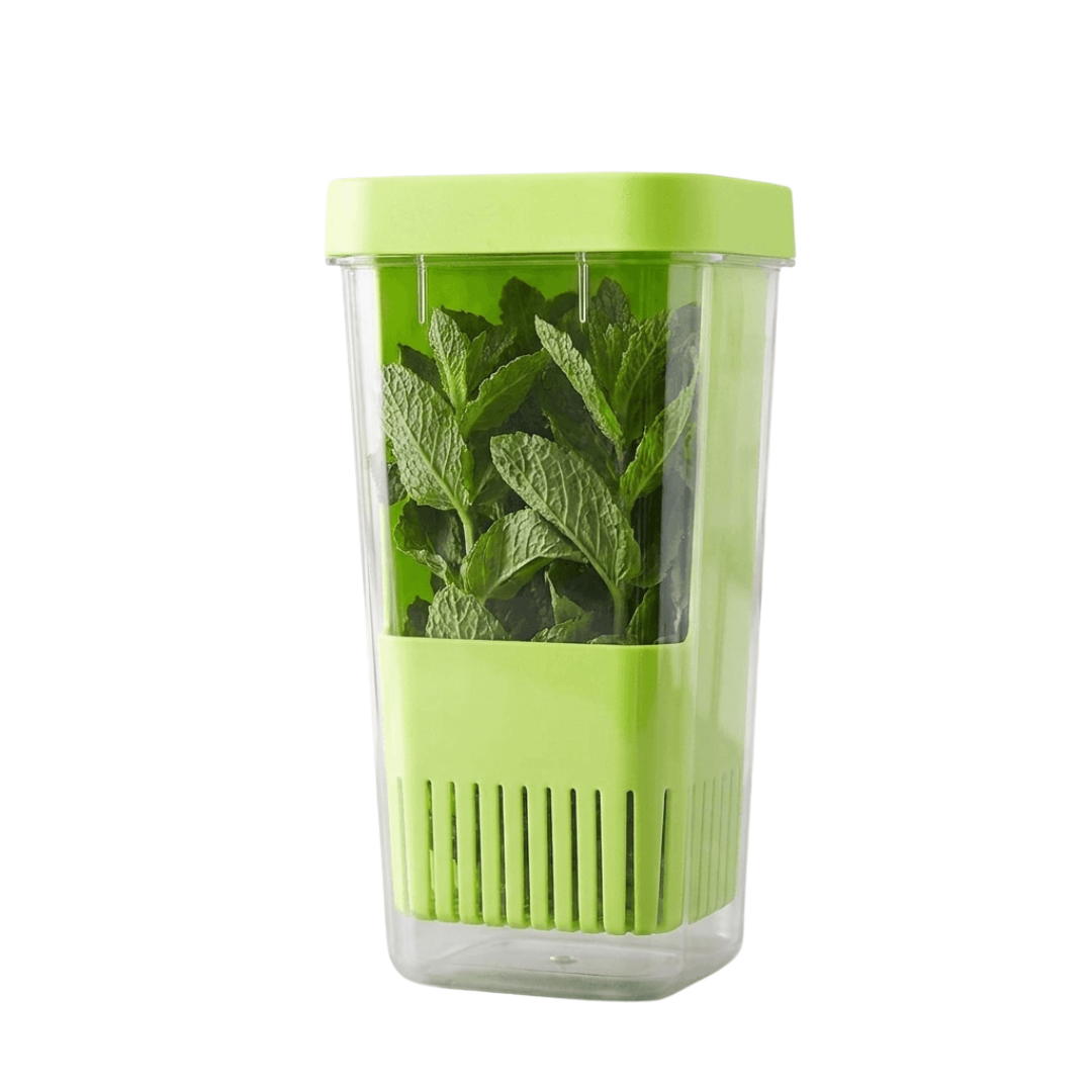 VeggieVase