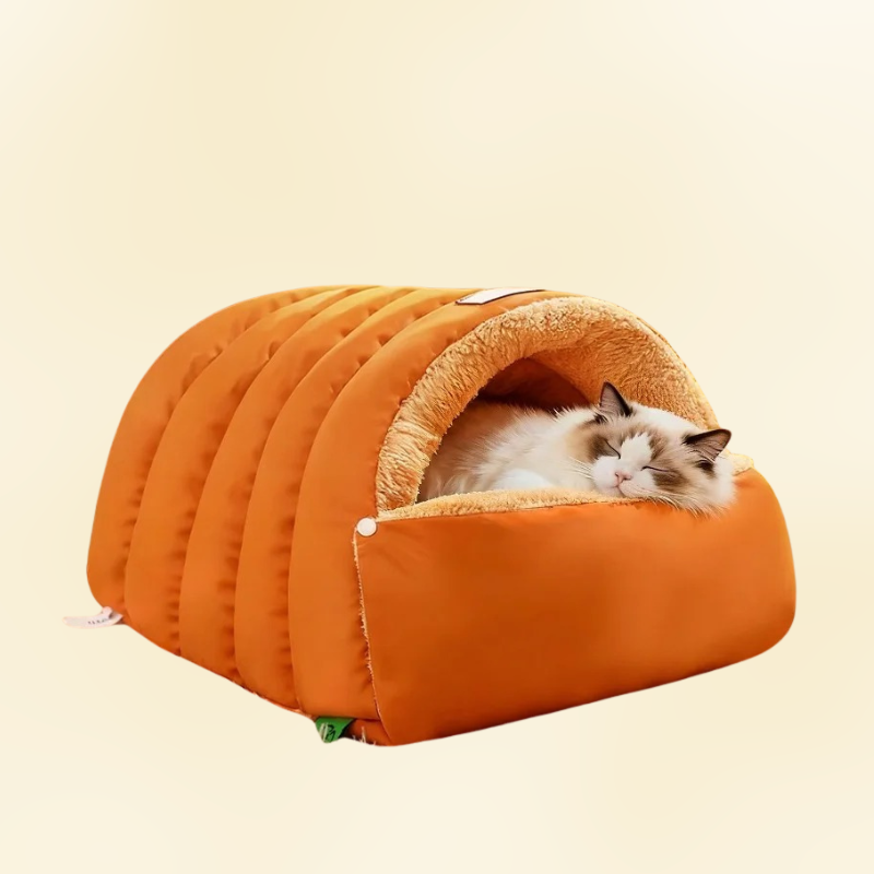 Calmarai