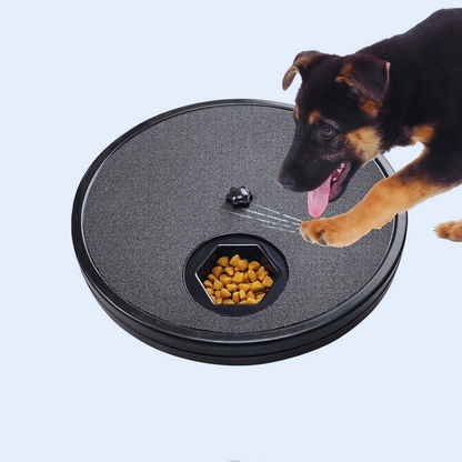 Pawtureef