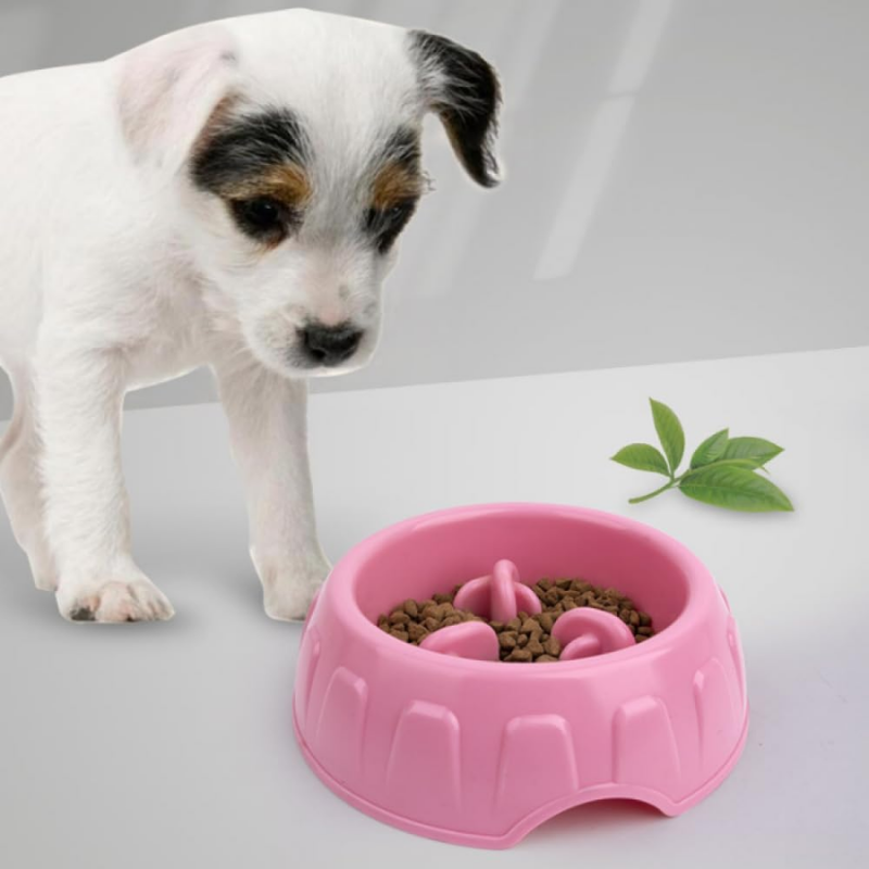 PawSavor