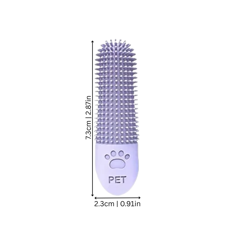 BrushBuddy
