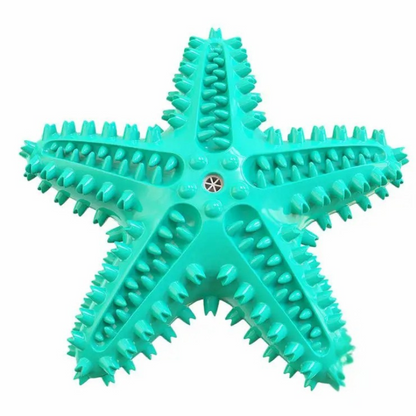 SplashBone