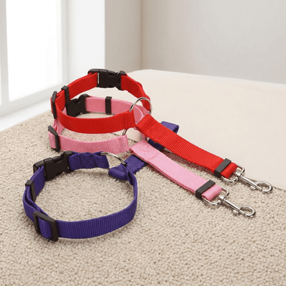 PetBuckle