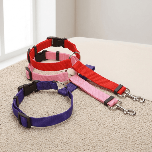 PetBuckle
