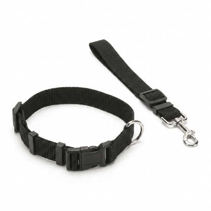 PetBuckle