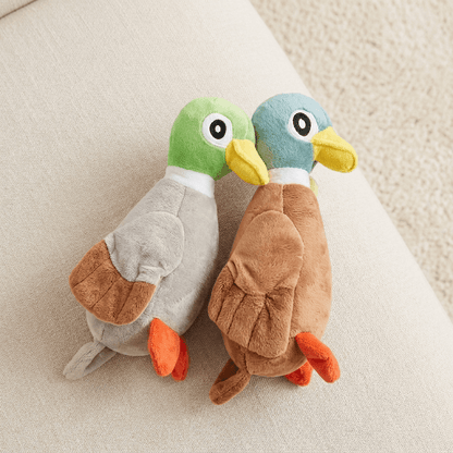 ChewyWaddle