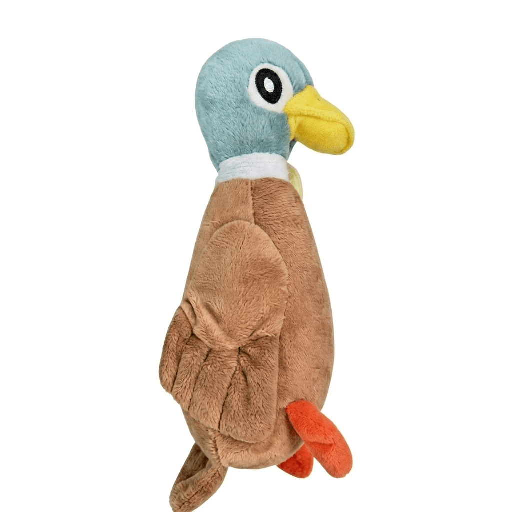 ChewyWaddle