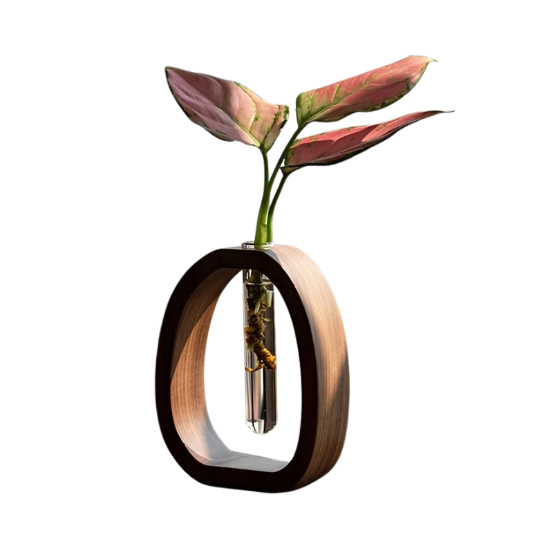 FrameBloom